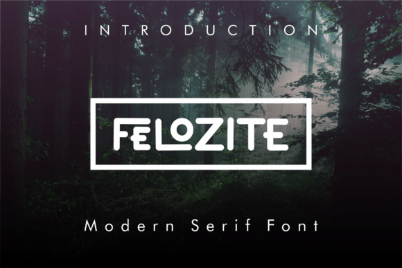 Felozite: The Modern Display Font for Elegant Digital Branding