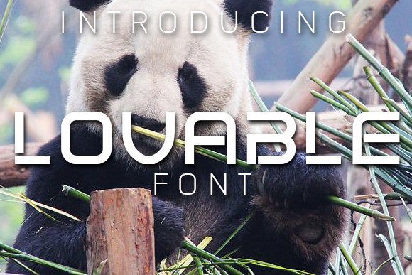 Lovable Display Font for Polished Branding and Print Materials
